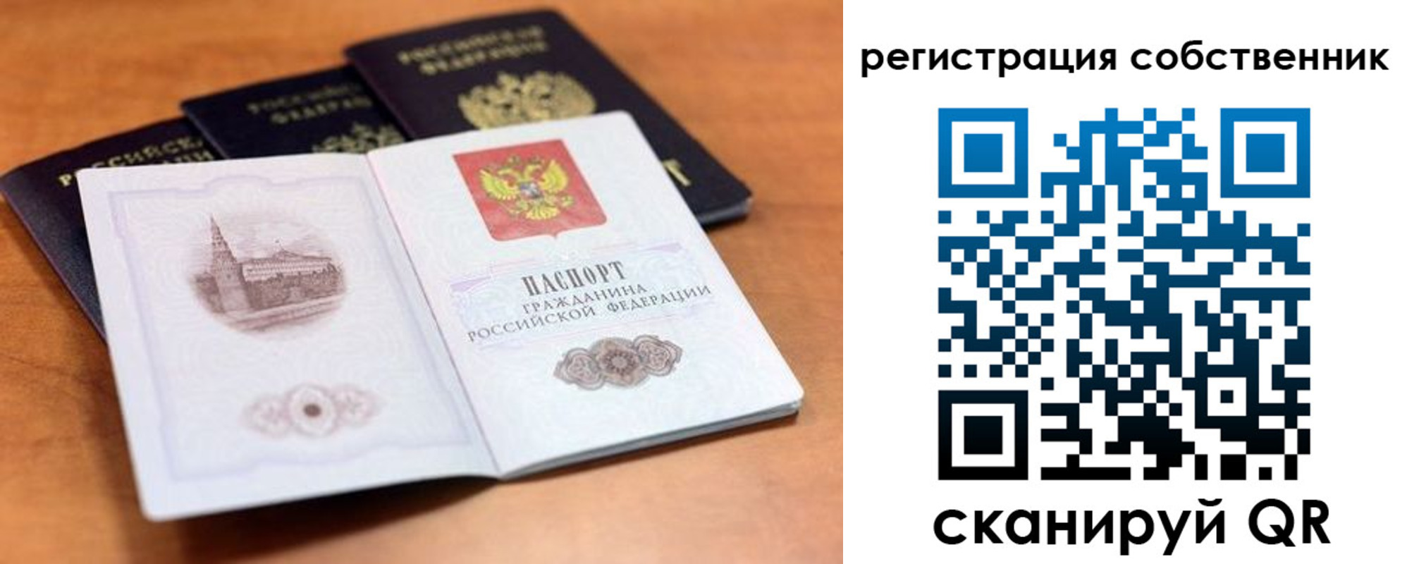 прописка поиск в Забайкальском крае